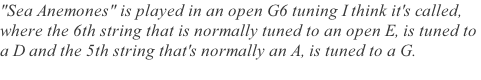 "Sea Anemones" is played in an open G6 tuning I think it's called,  where the 6th string that is normally tuned to an open E, is tuned to  a D and the 5th string that's normally an A, is tuned to a G.